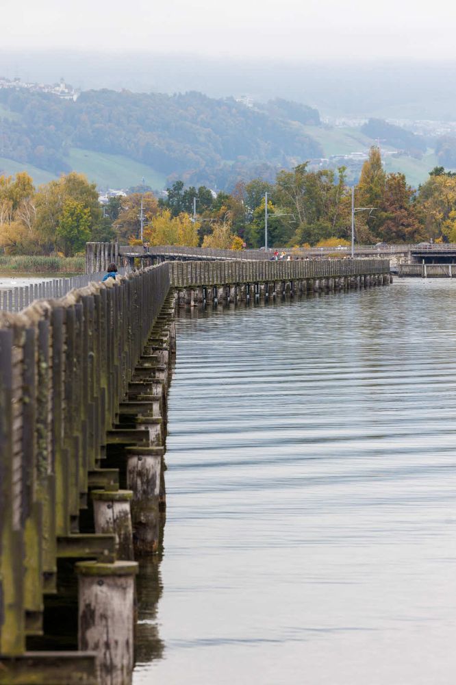 IMG 2025 10 11 0068086